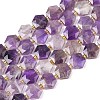 Natural Amethyst Beads Strands G-G144-A07-01-2