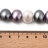 Shell Pearl Beads Strands BSHE-F013-01K-4