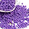 Baking Paint Glass Seed Beads X1-SEED-A032-02T-1