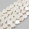 Electroplate Natural Freshwater Shell Beads Strands SHEL-T017-08-1