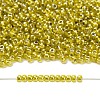 TOHO 11/0 Round Beads X-SEED-TR11-1013-4