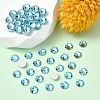 Preciosa® MAXIMA Crystal No Hotfix Flatback Stones Y-PRC-NSS10-60010-2