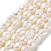 Natural Cultured Freshwater Pearl Beads Strands PEAR-Z002-22-1