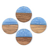 Opaque Resin & Walnut Wood Pendants RESI-S389-025A-C-2