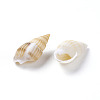 Spiral Shell Home Decorations BSHE-PH0001-08-2