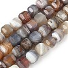 Natural Botswana Agate Beads Strands G-C267-A07-2