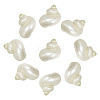 10Pcs Mini Natural Spiral Shell Beads FIND-WR0012-36-1