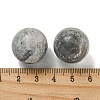 Natural Picasso Jasper Round Ball Figurines Statues for Home Office Desktop Decoration G-P532-02A-23-3