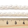 Natural Keshi Pearl Cultured Freshwater Pearl Beads Strands PEAR-P062-25D-5