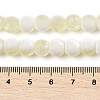 Frosted Crackle Glass Beads Strands GLAA-U001-6mm-M11-4