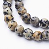 Natural Dalmatian Jasper Beads Strands GSR6mmC004-3