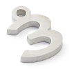 Non-Tarnish 304 Stainless Steel Charms STAS-G244-01E-3