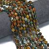 Natural Ocean Jasper Beads Strands G-K389-B08-01-2