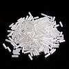 Glass Bugle Beads SEED-E001-12mm-121#-2