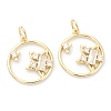 Brass Clear Cubic Zirconia Pendants ZIRC-B010-09G-1