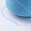 Polyester Thread LS-OCOR-WH0001-01-3