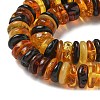 Natural Amber Beads Strands G-K387-C01-02-3