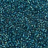 MIYUKI Delica Beads SEED-MY11-DB1764-3