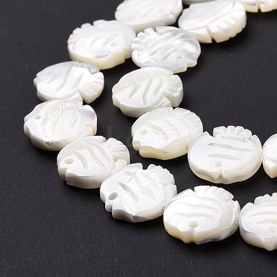 Natural Trochid Shell Beads Strands SSHEL-G023-16B-1