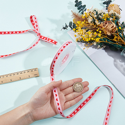 Polyester Ribbon OCOR-CY0004-12C-1