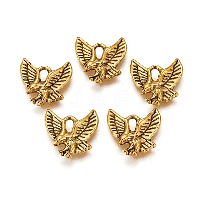 Tibetan Style Alloy Pendants TIBEP-20305-AG-NR-1