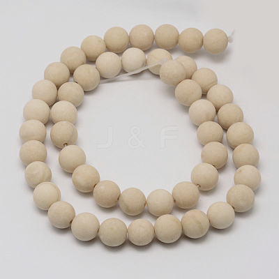 Natural Fossil Beads Strands G-D694-12mm-1