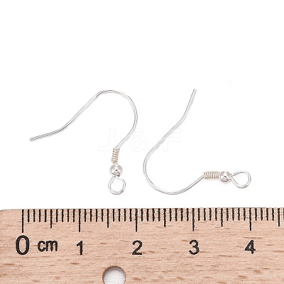 925 Sterling Silver Earring Hooks STER-T002-166S-1