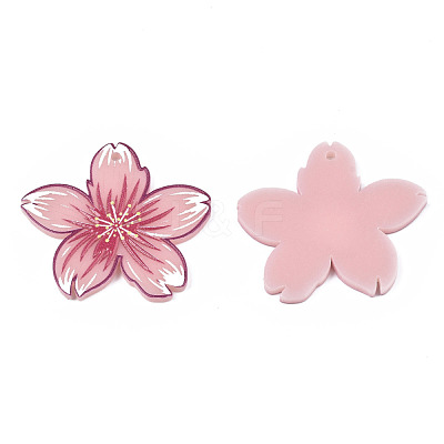Acrylic Pendants KY-S163-241-1