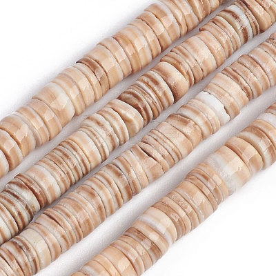 Shell Beads Strands BSHE-G026-01-1