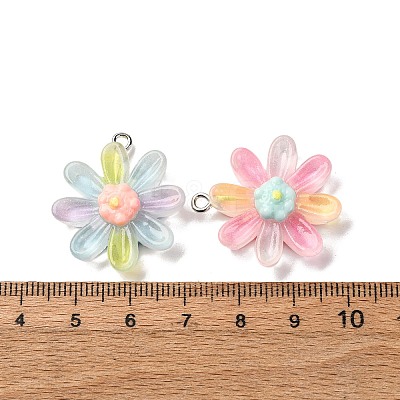 Transparent Resin Pendants RESI-A046-05C-1