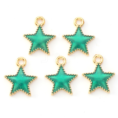 Alloy Enamel Charms ENAM-S121-024C-1