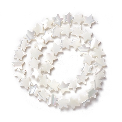 Natural Trochid Shell/Trochus Shell Beads SSHEL-O001-25C-02-1