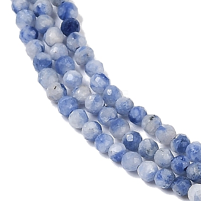 Natural Blue Spot Jasper Beads Strands G-A252-A02-01-1