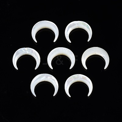 Natural White Shell Mother of Pearl Shell Beads X-SSHEL-T012-07-1