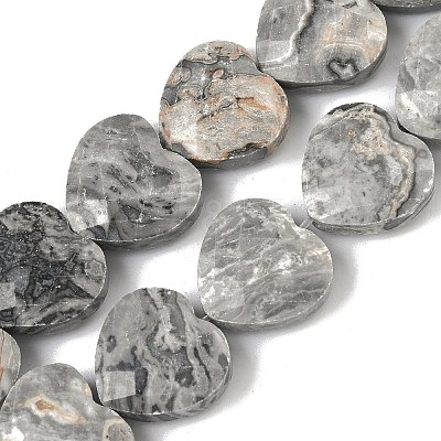 Natural Map Stone Beads Strands G-A309-A17-01-1