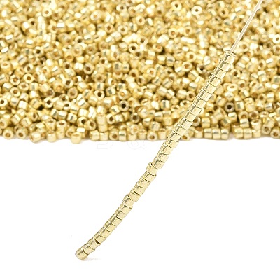 MIYUKI Delica Beads X-SEED-J020-DB2502-1