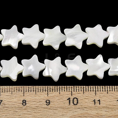 Natural Trochid Shell/Trochus Shell Beads Strands SH-CBA2978-17B-1