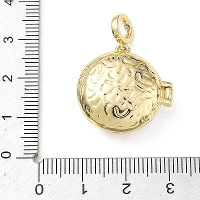Brass Micro Pave Clear Cubic Zirconia Enamel Locket Pendants KK-A303-22B-G-1