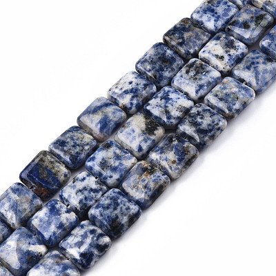 Natural Blue Spot Jasper Beads Strands G-N326-140G-1