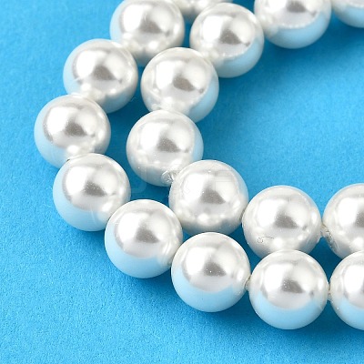 Rainbow Plated Shell Pearl Bead Strands BSHE-L025-02-10mm-1