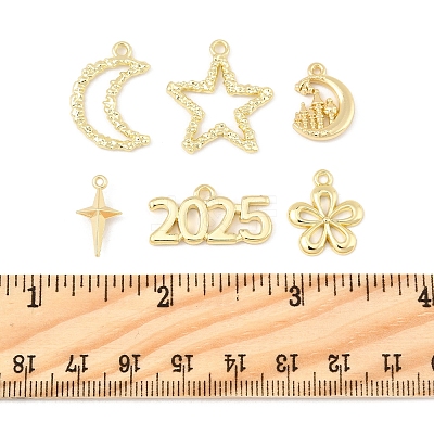 12Pcs 6 Styles Alloy Pendants FIND-FS0003-38G-1