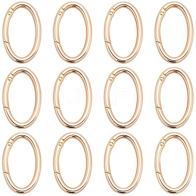 20Pcs Alloy Spring Gate Rings PALLOY-SC0010-53B-G-1