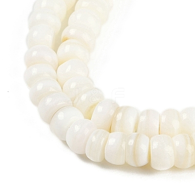 Natural Freshwater Shell Beads Strands BSHE-H109-07-1