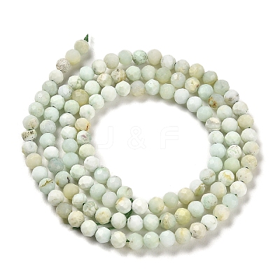 Natural Green Opal Beads Strands G-Z035-A02-02A-1
