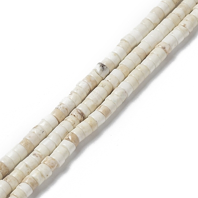 Natural Howlite Beads Strands G-E604-A01-C-1