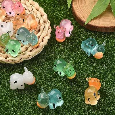 30Pcs 5 Colors Luminous Resin Home Display Decorations RESI-SZ0003-23-1