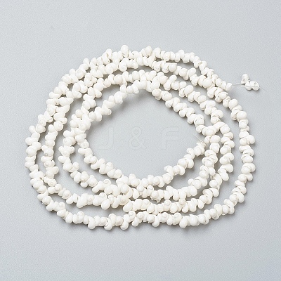 Natural Spiral Shell Beads Strands X-BSHE-I011-11C-1