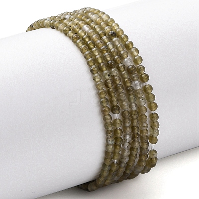 Natural Labradorite Beads Strands G-Z116-A04-2mm-1