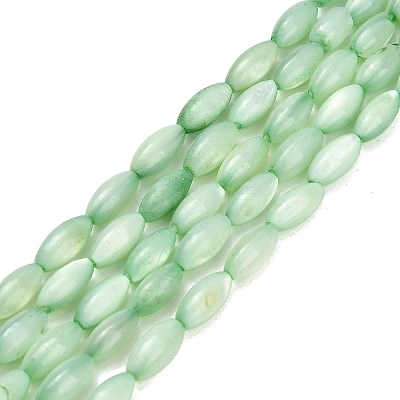 Natural Freshwater Shell Beads Strands SHEL-C010-01A-1