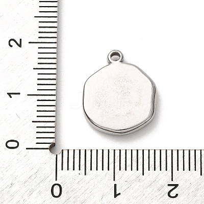 304 Stainless Steel Pendants X-STAS-I348-02P-01-1